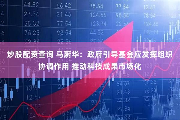炒股配资查询 马蔚华：政府引导基金应发挥组织协调作用 推动科技成果市场化