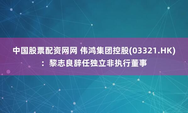 中国股票配资网网 伟鸿集团控股(03321.HK)：黎志良辞任独立非执行董事